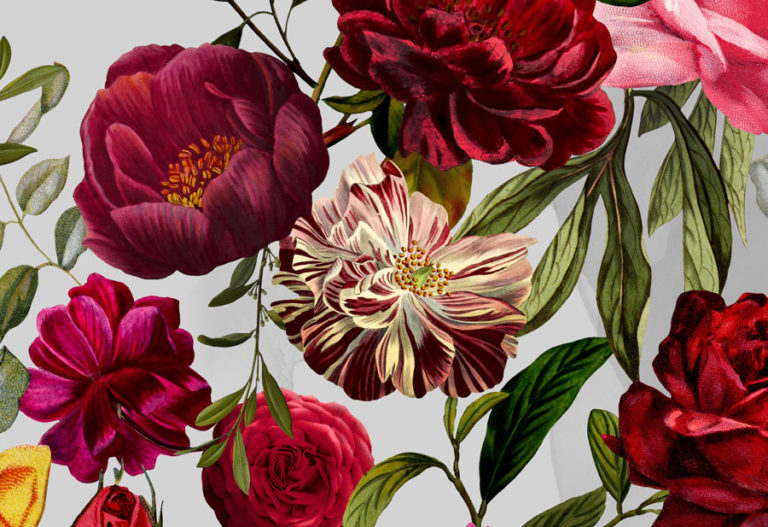 Velvet Roses Wallpaper | Floral Wallcoverings | Wallpapered