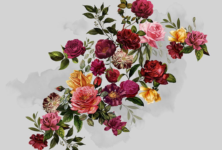 Velvet Roses Wallpaper | Floral Wallcoverings | Wallpapered